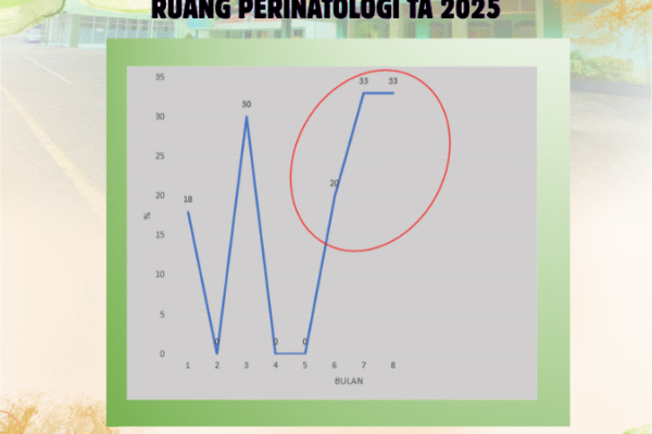 Agregasi dan Validasi Data Indikator Mutu Pelayanan Ruang Perinatologi TA. 2025